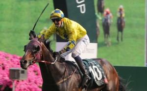 Hugh Bowman celebrates the win of Werther in the Audemars Piguet QE II Cup last start, the Hong Kong Derby victor racing away for a four and a half length success. Photo: Kenneth Chan