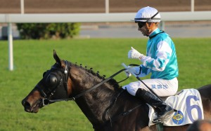 Race 7, Hit The Bid, ridden by Joao Moreira, won the class 4 over 1400m(all weather track) at Sha Tin on 19Dec15.