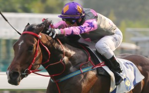 Race 7, Amazing Kids, ridden by Brett Prebble, won the Pearce Memorial Challenge Cup(class 2, 1200m) at Sha Tin on 09Jan16.