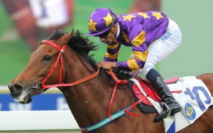 Race 5, Eastern Express, ridden by Karis Teetan, won the Lok Sin Tong Cup(class 3, 1800m) at Sha Tin on 17Jan16.