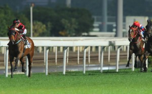 Likely Classic Mile favourite Thewizardofoz was bred by owner Martin Siu Kim-sun in Australia and brought to Hong Kong as an unraced prospect