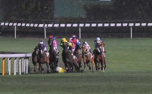 Race 1, Joao Moreira fell down from the horse Funny Fortune at Happy Valley on 03Feb16.