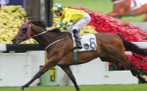 Werther could turn the tables on Sun Jewellery in the Hong Kong Classic Cup according to its trainer John Moore. Photos: Kenneth Chan