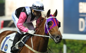 Magical Beauty was incredibly impressive in winning at Happy Valley on Wednesday night. Photo: Kenneth Chan