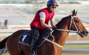 Peniaphobia galloping on the Meydan track in Dubai on Friday. Photos: Kenneth Chan