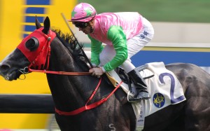 Happilababy, ridden by Zac Purton, wins the Hong Kong Lions Cup at Sha Tin on Easter Monday. Photos: Kenneth Chan