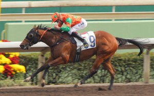 Ho Lee Horse wins impressively two starts ago with Chad Schofield aboard. Photo: Kenneth Chan