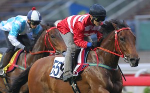 Wayfoong Vinnie produced his best run in Hong Kong yet with a drop into Class Four. Photo: Kenneth Chan