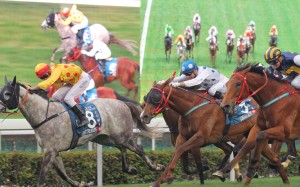 Giant Treasure beats Luger (right) and Contentment in the Stewards' Cup (1,600m) at Sha Tin in January. Photos: Kenneth Chan