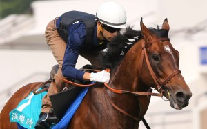 Joao Moreira keeps a tight grip on likely 2016 Champions Mile favourite Maurice as the Japanese galloper is tested on the turf on Sha Tin on Thursday. Photos: Kenneth Chan
