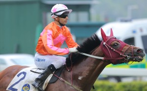 Helene Paragon looks a future Champions Mile horse after his terrific Class Two win. Photo: Kenneth Chan