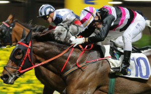 Brett Prebble gets everything out of Ho Ho Feel to win narrowly in January. Photo: Kenneth Chan