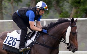 Neil Callan takes Green Card for a gallop down the riverside at Sha Tin on Thursday morning. Photo: Kenneth Chan