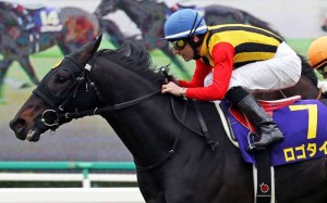 Logotype, pictured winning the 2013 Satsuki Sho at Nakayama, took out the Yasuda Kinen at Tokyo racecourse on Sunday. Photo: Japan Racing Association