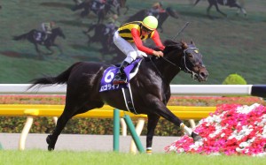 Maurice was far from disgraced in second, with jockey Tommy Berry saying the horse didn’t settle, but Hong Kong’s Contentment finished last