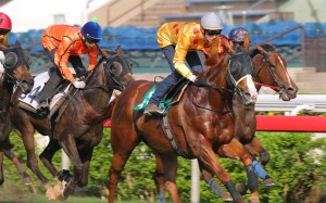 A lighter workload has connections confident raider Gold-Fun has enough left to challenge for the Diamond Jubilee Stakes