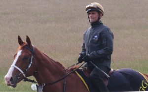 The striking sprinter has never struck a significantly wet surface throughout his career, something that worries his trainer