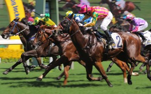 The champion Australian rider is the king of celebrations, but his decision not to wave his whip after crossing the line on Winston’s Lad proved correct as he went down by a nose