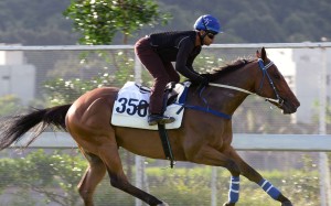 Amazing Race has shown versatility in his career in Britain.Photos: Kenneth Chan