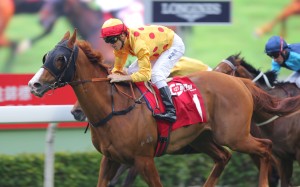 Christophe Soumillon was aboard Gold-Fun before the popular sprinter-miler’s horrific fall. Photo: Kenneth Chan