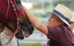 John Moore gives Rapper Dragon a pat after his win in the Lion Rock Trophy at Sha Tin in May. Photo: Kenneth Chan