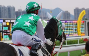 Racing’s newest cult hero gets hit hard by the handicapper, rated higher than former superstar Silent Witness at the same stage of his career