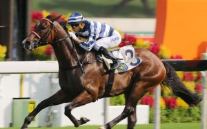 Packing Pins will line up in Saturday’s Group Three Celebration Cup. Photos: Kenneth Chan