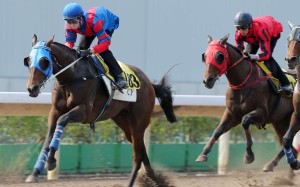 Zac Purton gives Gun Pit a hit-out in Tuesday’s barrier trial at Sha Tin. Photos: Kenneth Chan