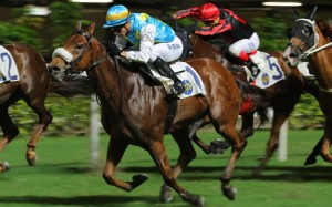 Vara Pearl wins over 1,650m at Happy Valley last season. Photos: Kenneth Chan