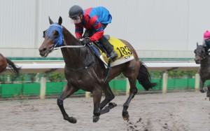 Zac Purton guides Gun Pit to victory in a barrier trial on Tuesday morning. Photos: Kenneth Chan