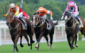 Designs On Rome (left) fights off Blazing Speed and Beauty Only to win the Group Two Sha Tin Trophy. Photos: Kenneth Chan