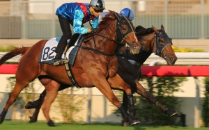 Rapper Dragon with Joao Moreira on board takes part in a barrier trial earlier this month. Photos: Kenneth Chan