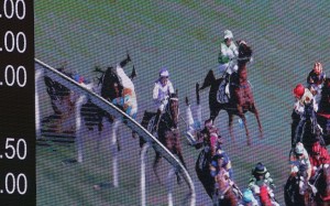 Umberto Rispoli (Mr Pele) and Jack Wong (Dashing King) tangle in a nasty tumble at Happy Valley.