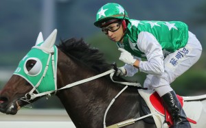 Matthew Chadwick and Pakistan Star. Photos: Kenneth Chan