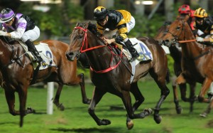D B Pin wins at Happy Valley last start. Photos: Kenneth Chan