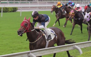 Bay Boy clears out from his rivals in June. Photos: Kenneth Chan