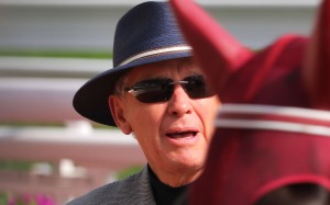 John Moore runs his eye over Go Beauty Go. Photos: Kenneth Chan