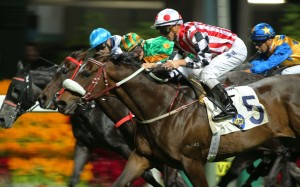 Harbour Master storms over the top of his rivals in the Group Three January Cup after a gem of a ride from Zac Purton. Photos: Kenneth Chan