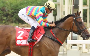 Karis Teetan guides Super Jockey to a dominant victory in the Korea Sprint. Photos: Kenneth Chan