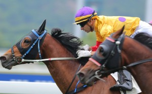 Joao Moreira guides Imperial Seal to victory without a whip. Photos: Kenneth Chan