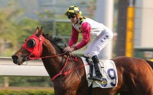 Chad Schofield sticks his tongue out after producing a gem of a ride to win the Group Three Centenary Vase on Supreme Profit. Photos: Kenneth Chan