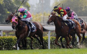 Aerovelocity wins the 2016 Hong Kong Sprint. Photos: Kenneth Chan