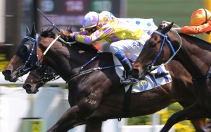 Douglas Whyte pushes out Noble De Love to salute at Sha Tin on Sunday. Photos: Kenneth Chan