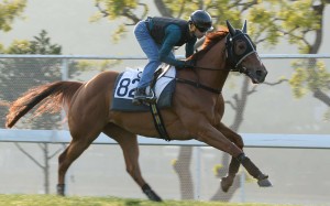 Rapper Dragon ridden by Joao Moreira galloping on the turf at Sha Tin this week. Photos: Kenneth Chan
