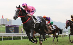 The master trainer notches his 78th win of the season as two talented types show a hint of what they’re capable of with outstanding performances in their first starts