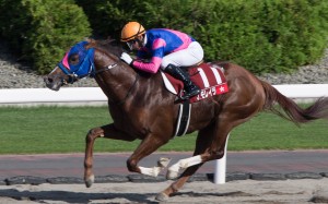 Joao Moreira rode more winners on the final day of the World All-Star Jockeys series. Photo: HKJC