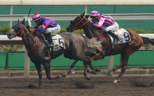 Joao Moreira pushes out Gran Master to win first-up at Sha Tin. Photos: Kenneth Chan
