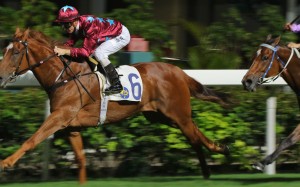Zac Purton guides Great Joy to victory at Happy Valley in May. Photo: Kenneth Chan
