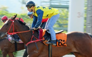 Joao Moreira trials Gamechangers on November 3. Photo: Kenneth Chan
