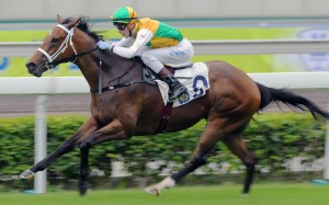 Southern Hemisphere-born Sparkling Dragon (Sam Clipperton) makes an impressive debut for freshman trainer Michael Freedman at Sha Tin. Photos: Kenneth Chan
